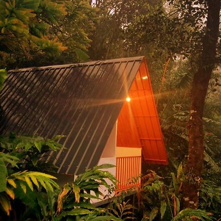 Munnar Home Stay Teadrops Plantation Villa Экстерьер фото