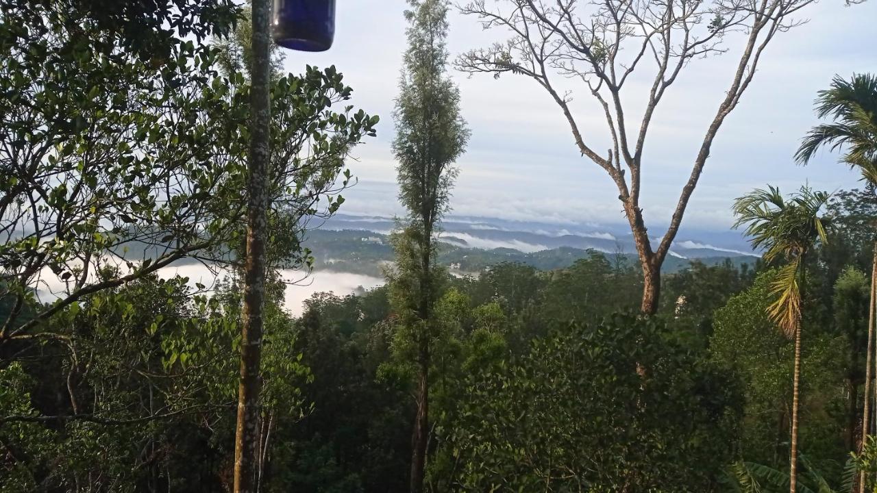 Munnar Home Stay Teadrops Plantation Villa Экстерьер фото
