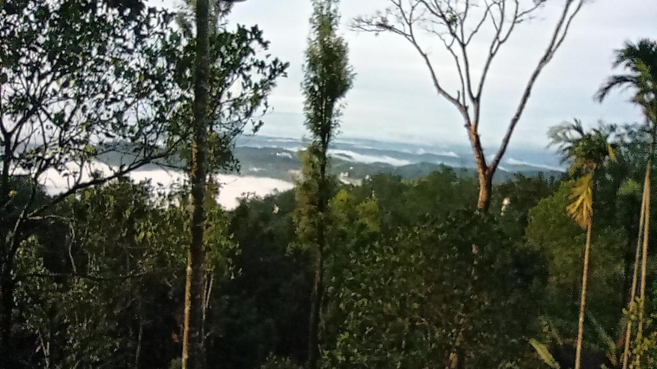 Munnar Home Stay Teadrops Plantation Villa Экстерьер фото