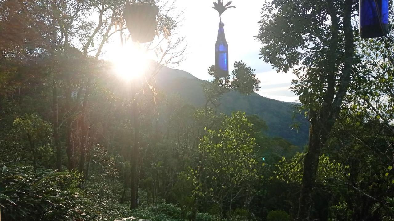 Munnar Home Stay Teadrops Plantation Villa Экстерьер фото