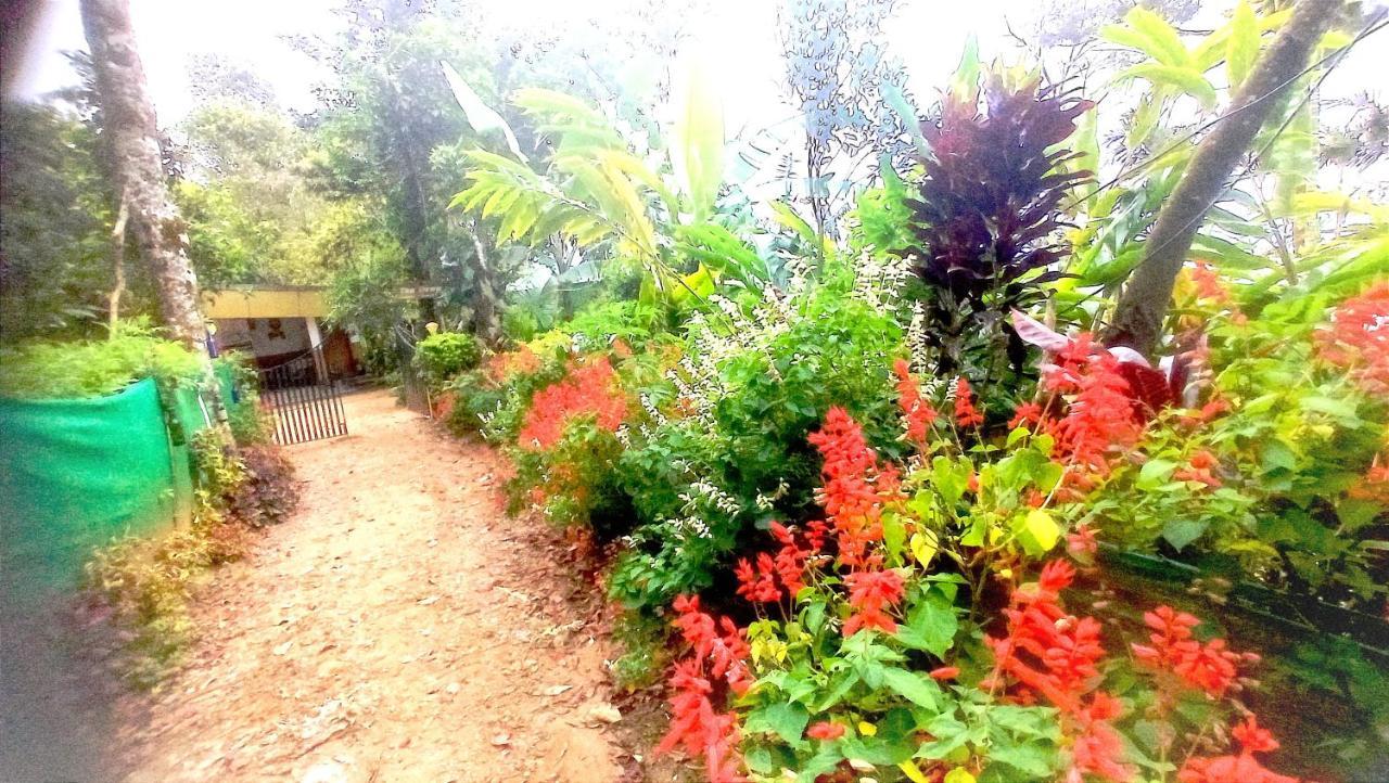 Munnar Home Stay Teadrops Plantation Villa Экстерьер фото
