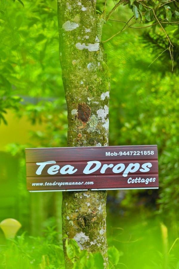 Munnar Home Stay Teadrops Plantation Villa Экстерьер фото