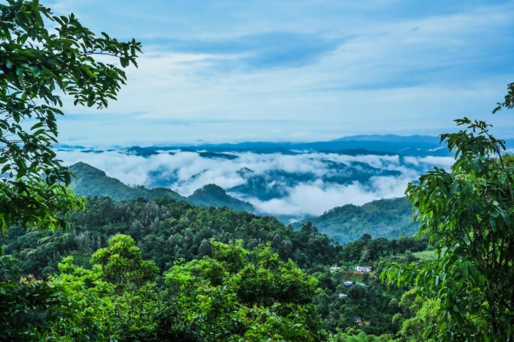 Munnar Home Stay Teadrops Plantation Villa Экстерьер фото