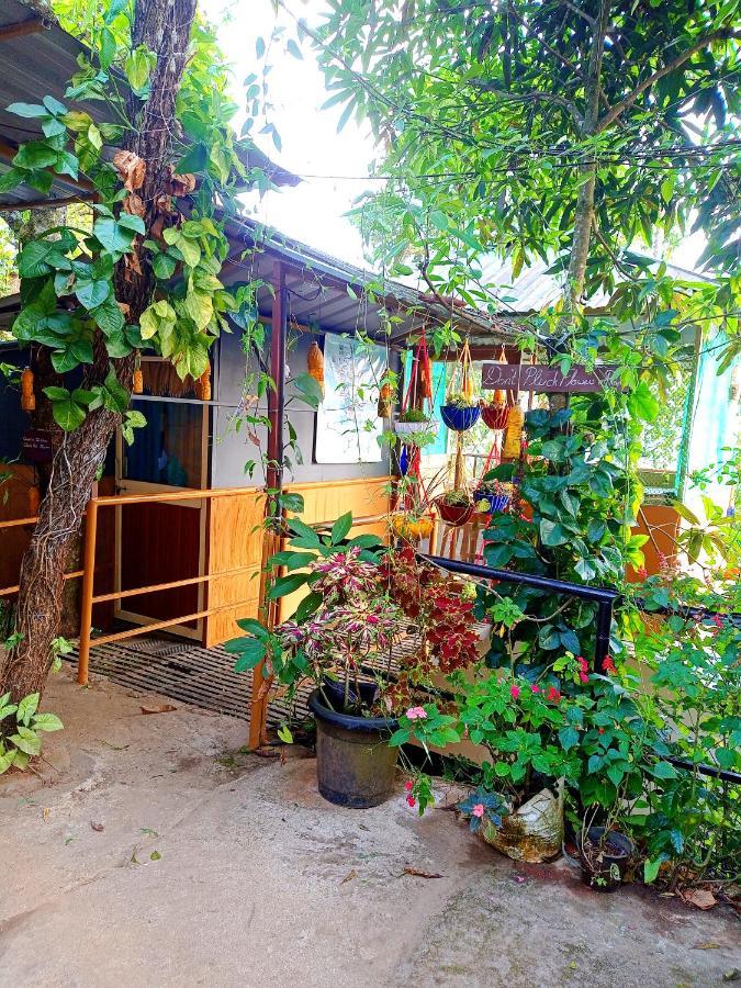 Munnar Home Stay Teadrops Plantation Villa Экстерьер фото