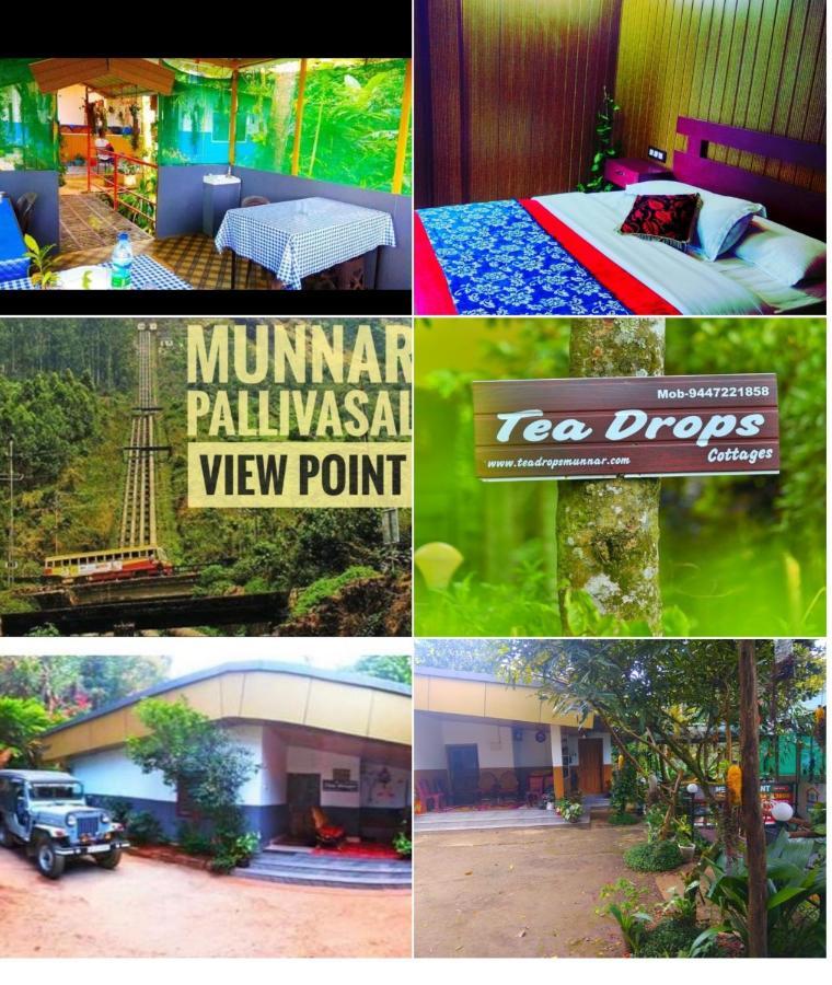 Munnar Home Stay Teadrops Plantation Villa Экстерьер фото