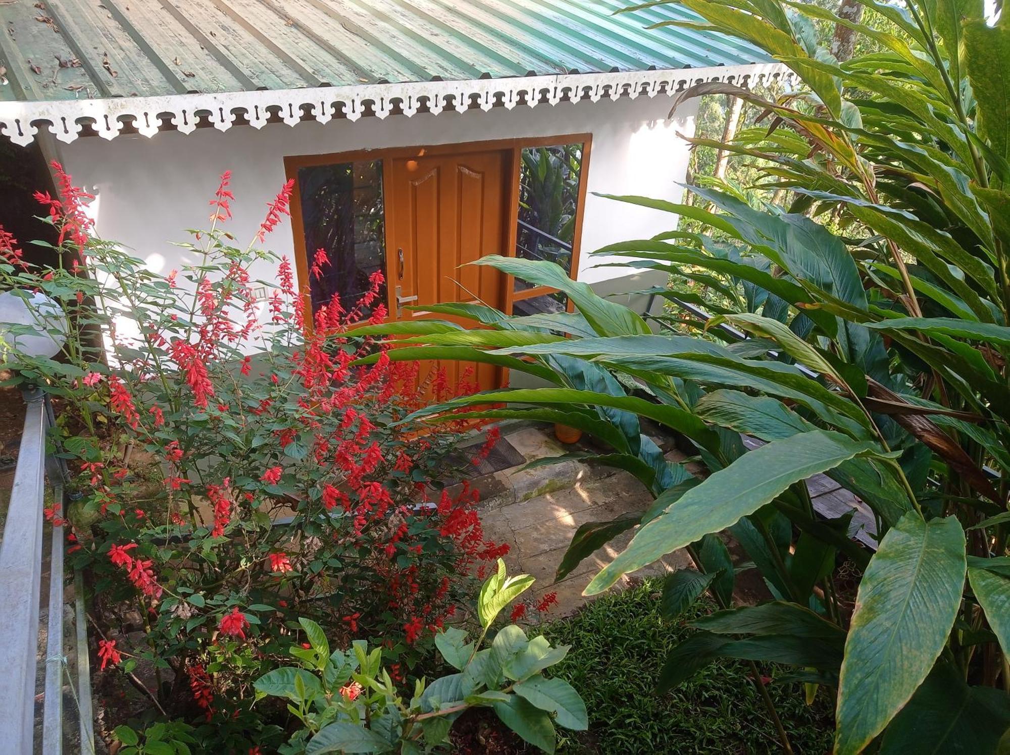 Munnar Home Stay Teadrops Plantation Villa Экстерьер фото