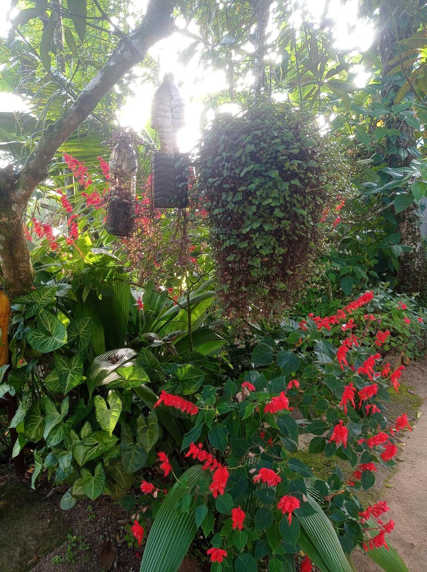 Munnar Home Stay Teadrops Plantation Villa Экстерьер фото