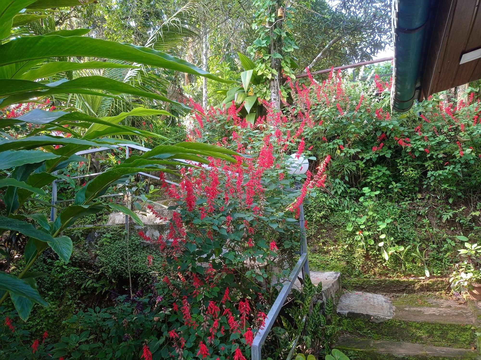 Munnar Home Stay Teadrops Plantation Villa Экстерьер фото