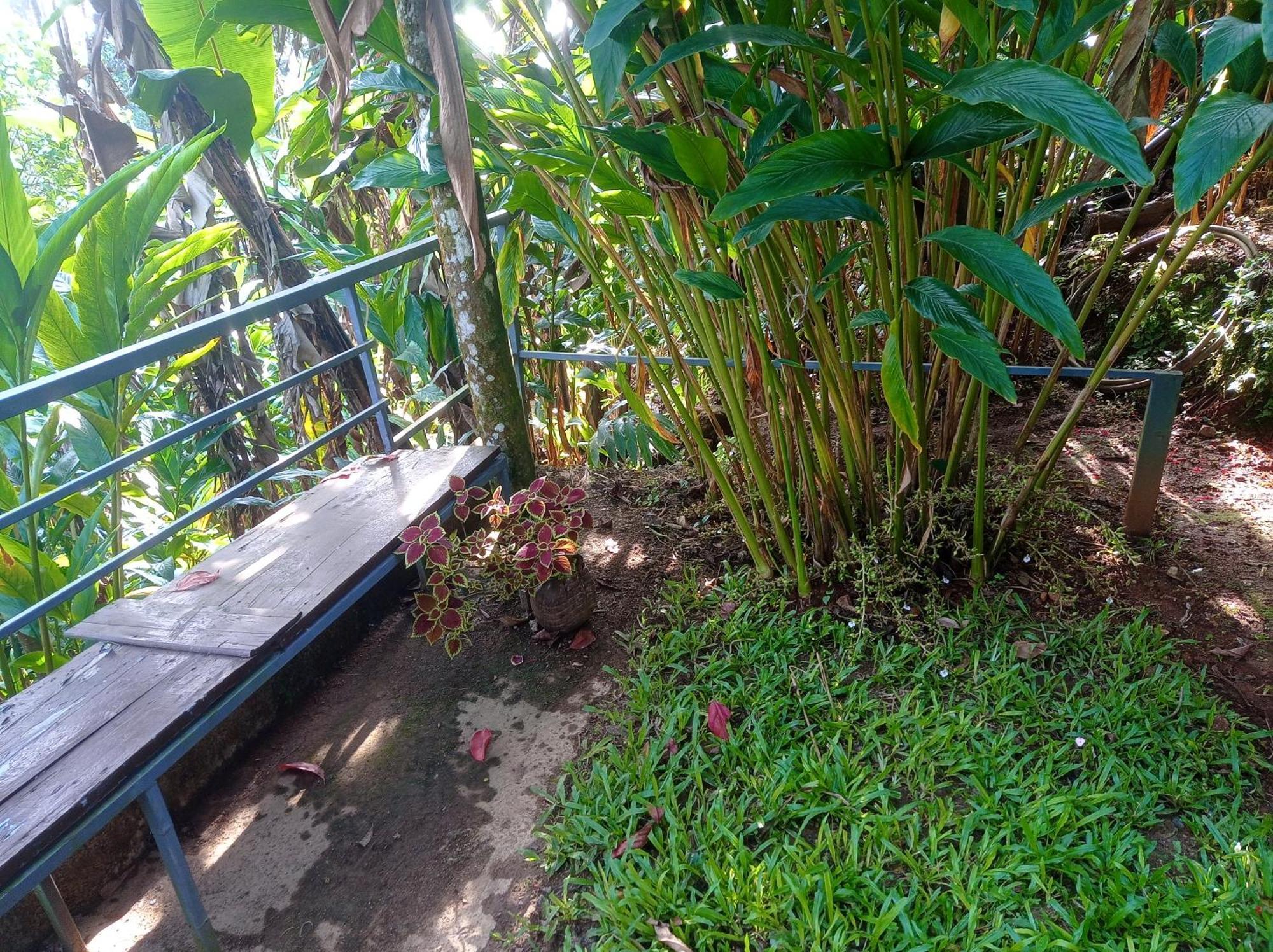 Munnar Home Stay Teadrops Plantation Villa Экстерьер фото