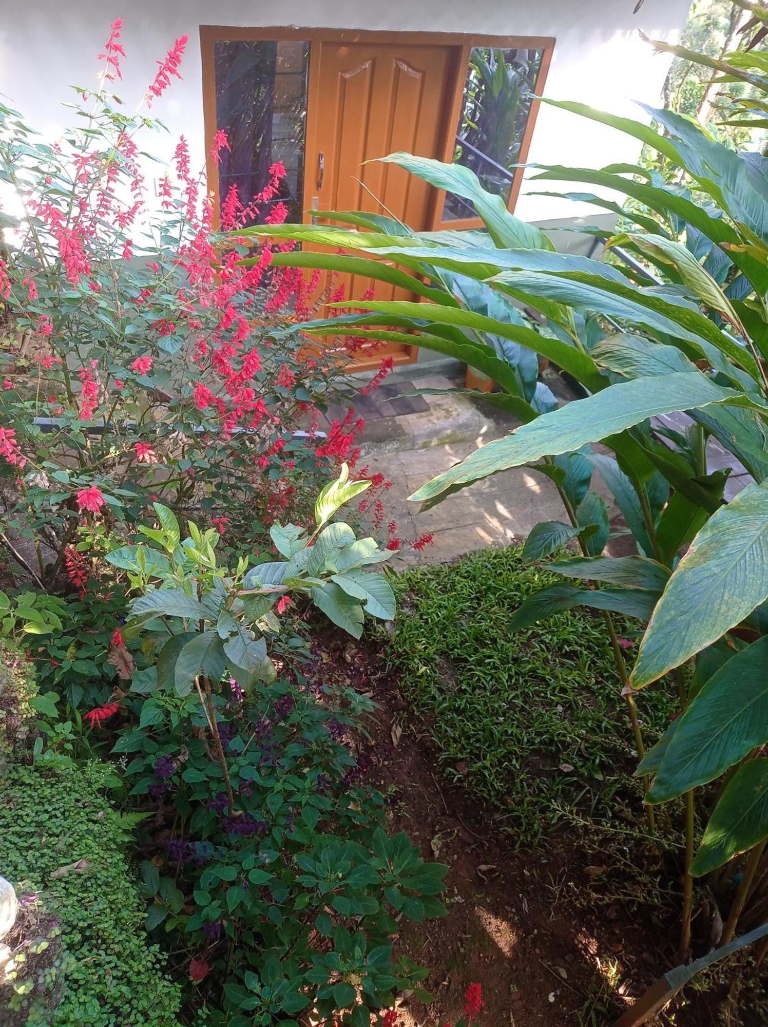 Munnar Home Stay Teadrops Plantation Villa Экстерьер фото