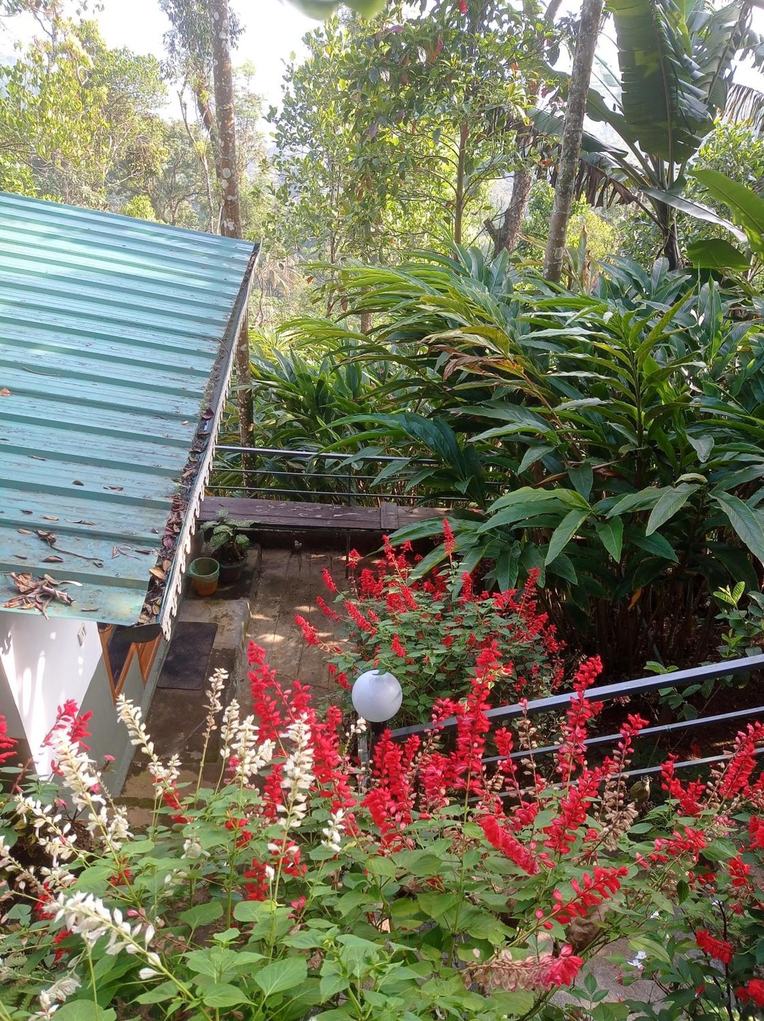 Munnar Home Stay Teadrops Plantation Villa Экстерьер фото