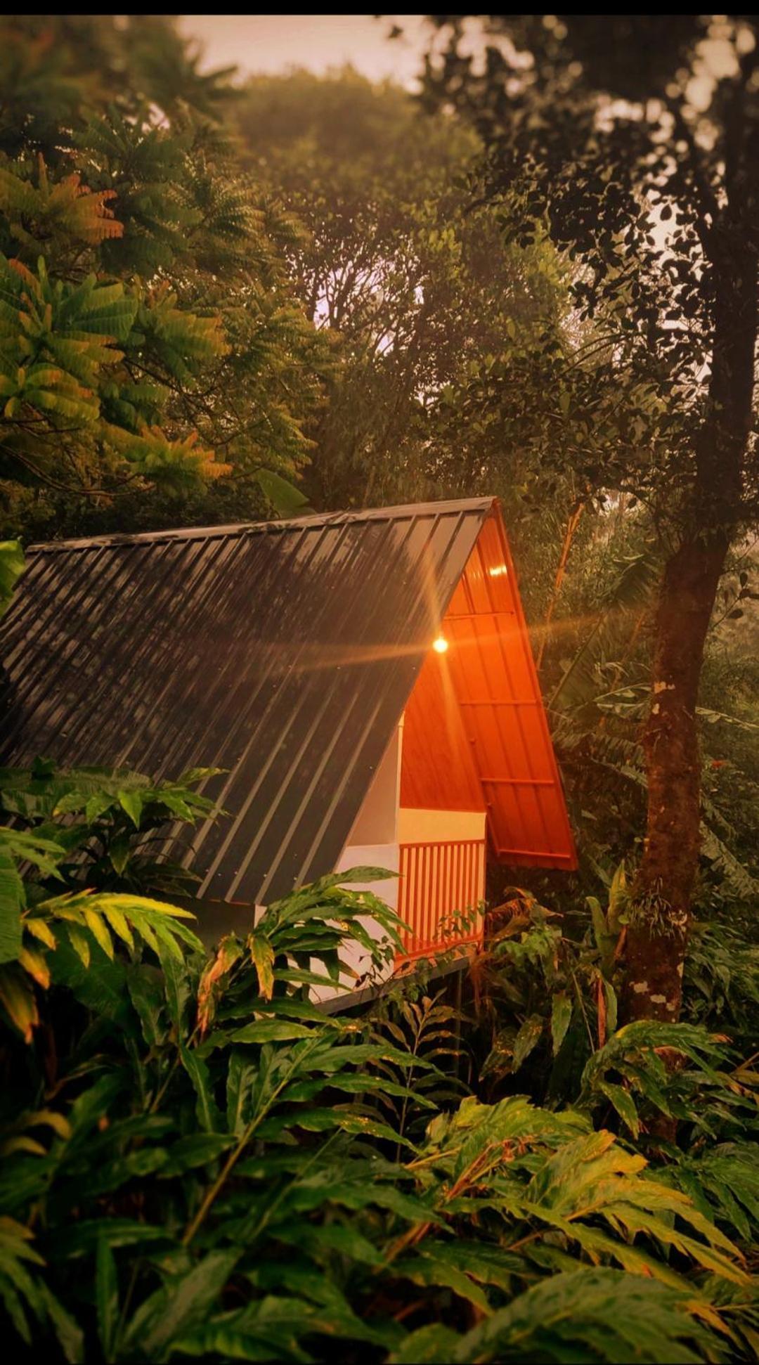 Munnar Home Stay Teadrops Plantation Villa Экстерьер фото